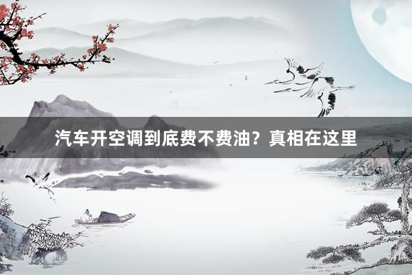 汽车开空调到底费不费油？真相在这里