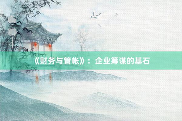 《财务与管帐》：企业筹谋的基石