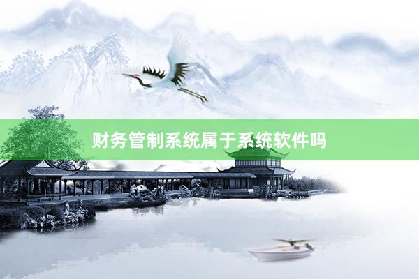 财务管制系统属于系统软件吗
