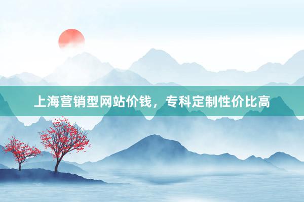 上海营销型网站价钱，专科定制性价比高