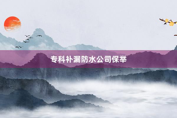 专科补漏防水公司保举