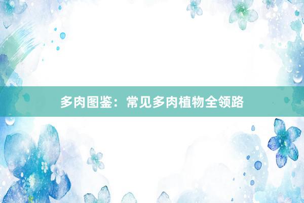 多肉图鉴：常见多肉植物全领路