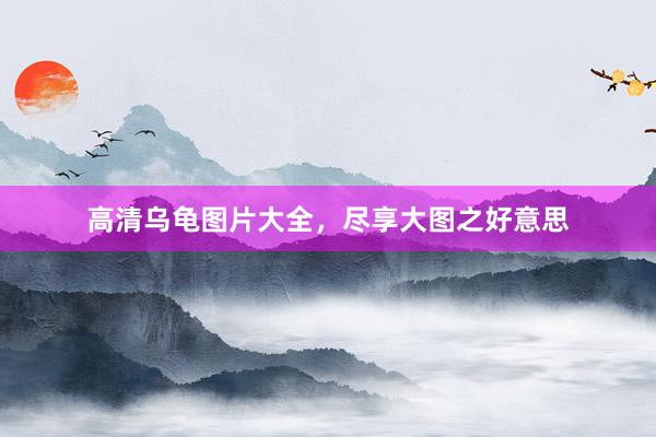 高清乌龟图片大全，尽享大图之好意思